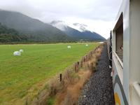 Von Greymouth nach Christchurch, Südinsel Neuseeland