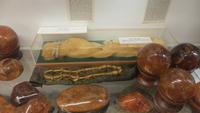 1538 Fahrt nach Auckland - Besuch Kauri-Museum - Kauri-Harz