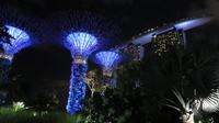 Gardens by the Bay