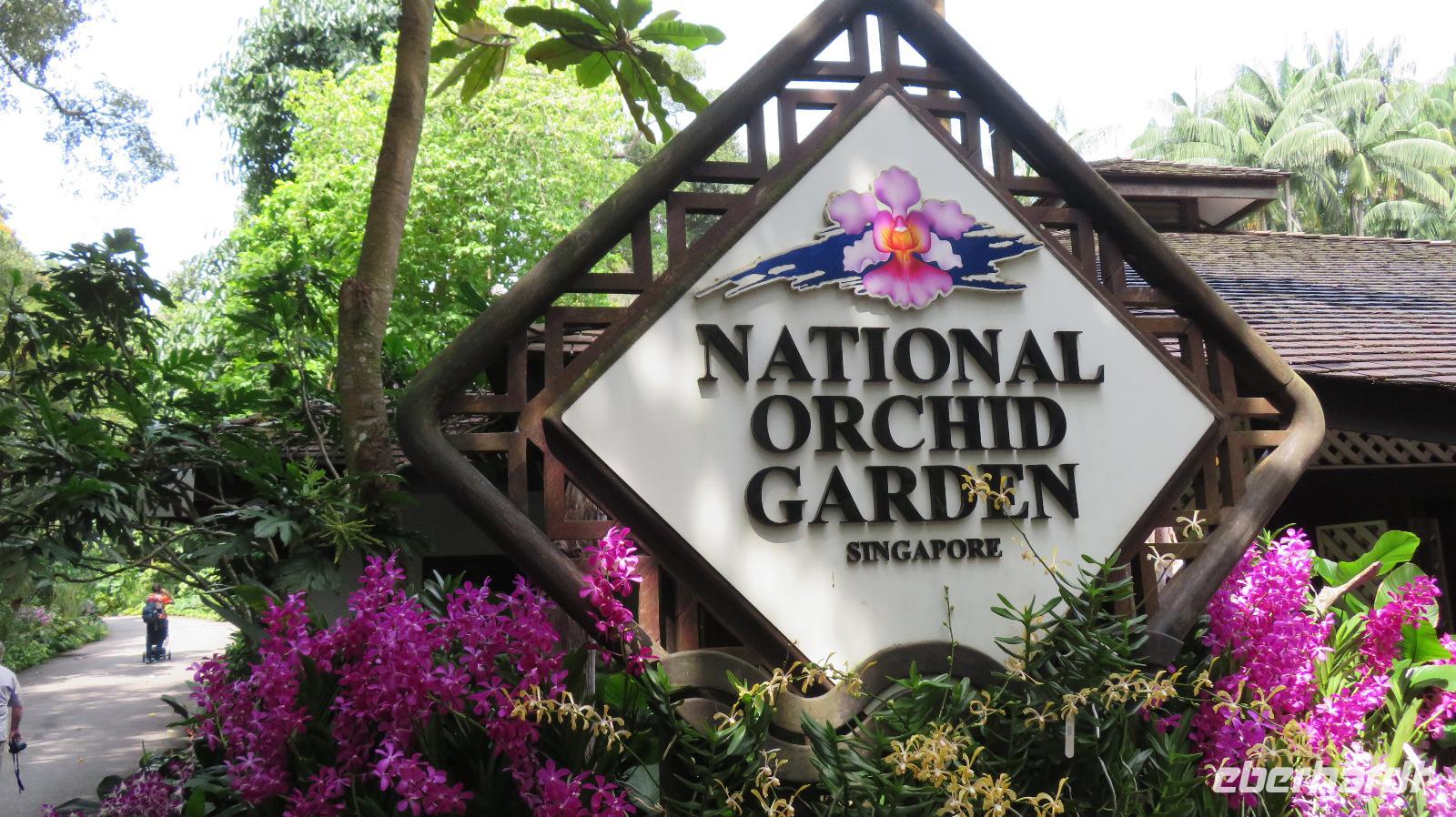 Orchideen Garten