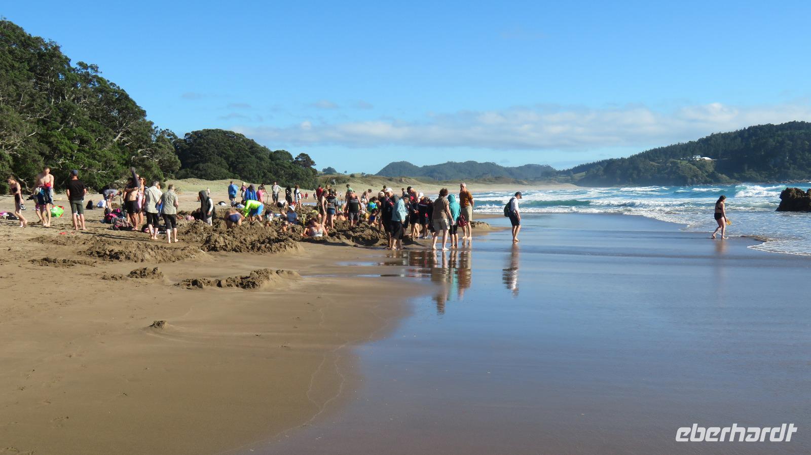 Die haben schon was gefunden