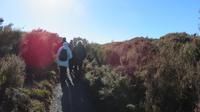 Tongariro Nationalpark Wandertag