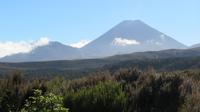 Tongariro Nationalpark Wandertag