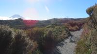Tongariro Nationalpark Wandertag