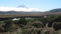 Tongariro Nationalpark Wandertag