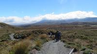 Tongariro Nationalpark Wandertag