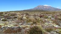 Tongariro Nationalpark Wandertag