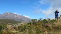 Tongariro Nationalpark Wandertag