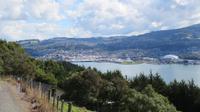 Dunedin