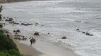 Moeraki Boulders