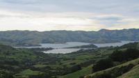 Blick auf Akaroa