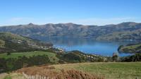 Blick auf Akaroa