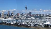 1551 Fahrt nach Auckland -  Skyline
