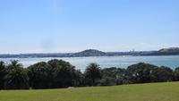 1559 Auckland