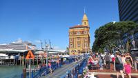 1564 Auckland