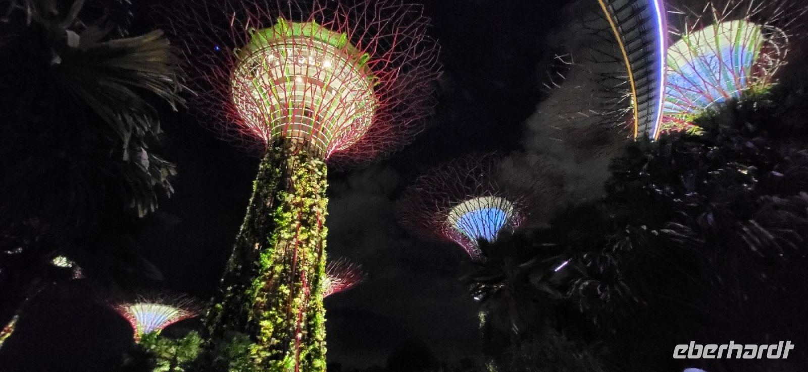 16 supertrees