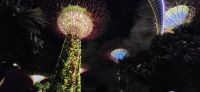 16 supertrees