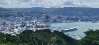 162 Blick von Mount Victoria über Wellington