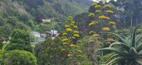168 Botanischer Garten Wellington