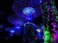 Gardens by the Bay, Singapur