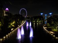 Gardens by the Bay, Singapur