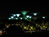 Gardens by the Bay, Singapur
