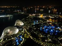 Gardens by the Bay, Singapur