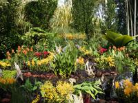 Botanischer Garten Singapur