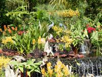 Botanischer Garten Singapur