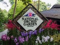 Botanischer Garten Singapur