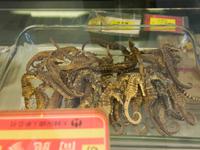 China Town, Singapur