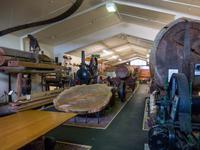Kauri Museum