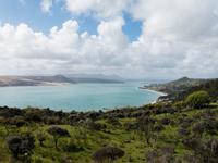 Hokianga Harbour