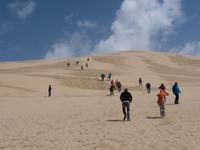 Dune Surfing
