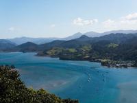 Paku Hill, Coromandel 
