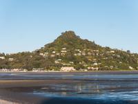 Paku Hill, Coromandel 