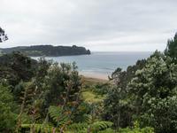 Coromandel Halbinsel