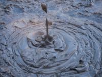 Geothermalgebiet bei Rotorua