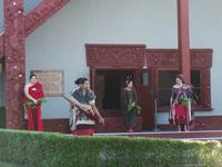 Maori-Abend im Te Puia, Rotorua