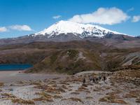 Wanderung im Tongariro-Nationalpark