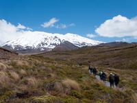 Wanderung im Tongariro-Nationalpark
