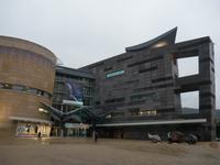 Wellington, Te Papa