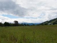 Motueka Valley