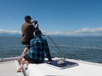 Abel Tasman Nationalpark