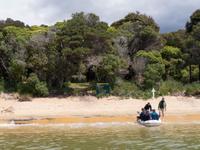 Abel Tasman Nationalpark