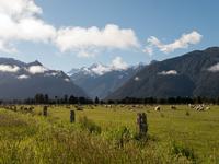 Mount Cook & Mount Tasman
