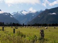 Mount Cook & Mount Tasman