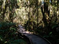 Spaziergang bei Ships Creek