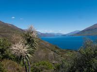 Lake Wanaka
