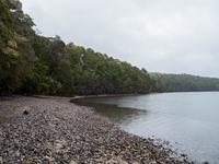 Kepler Track, Lake Te Anau